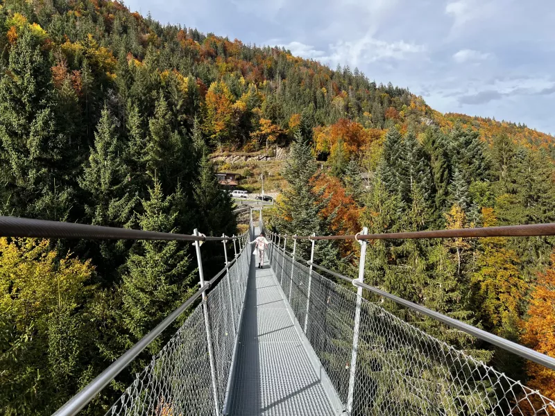 Atelier Jeunesse de la Veveyse
