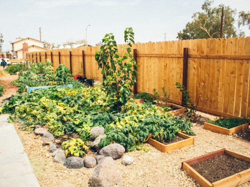 Espaces verts et biodiversité à Attalens