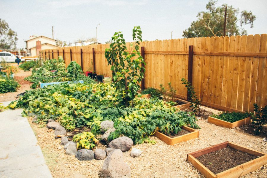 Espaces verts et biodiversité à Attalens