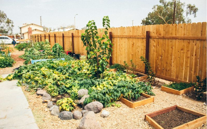 Espaces verts et biodiversité à Attalens